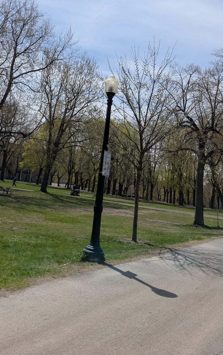 5.05.2025
