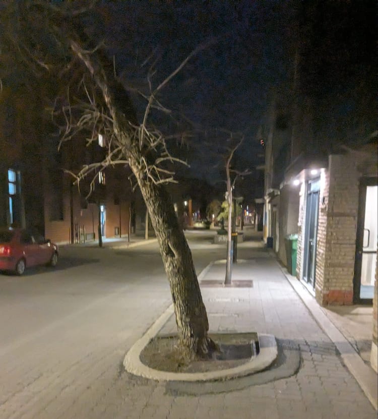 5.02.2025 - Weekly Digest